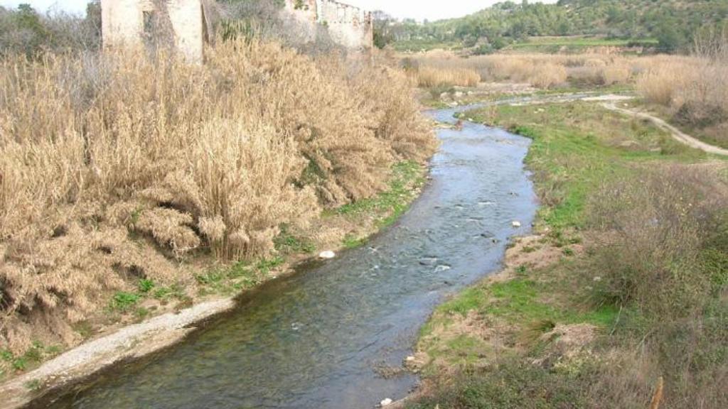El río Francolí a su paso por Masó (Tarragona)