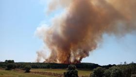 Imagen del incendio de vegetación de Vilanova de Meià (Lleida)