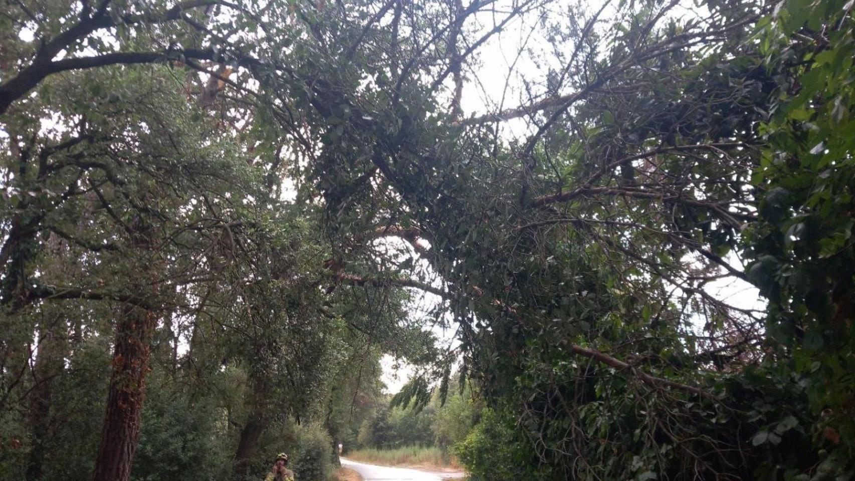 Bomberos atendiendo una incidencia por el mal tiempo en Girona