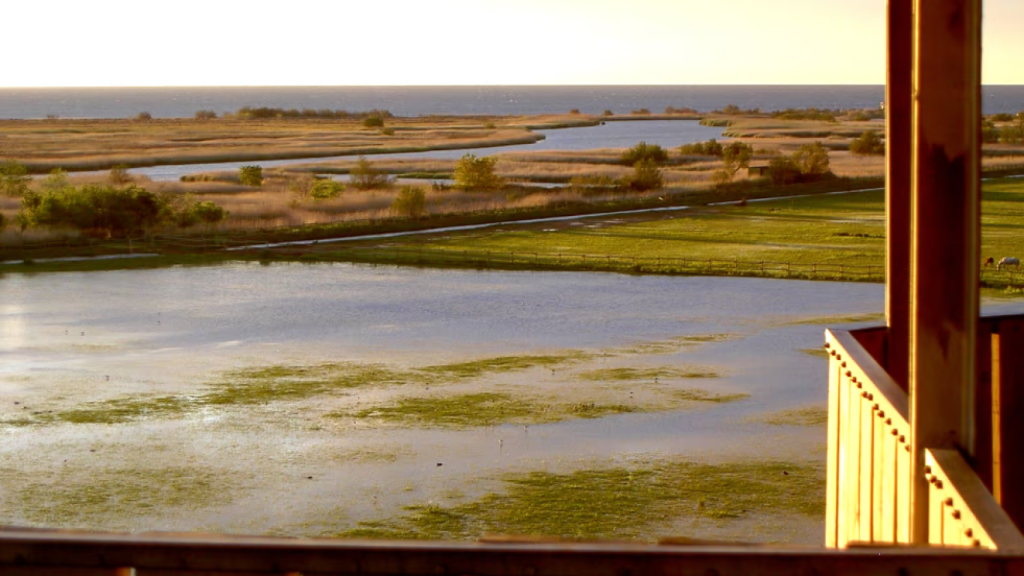 Parque Natural de Els Aiguamolls del Empordà