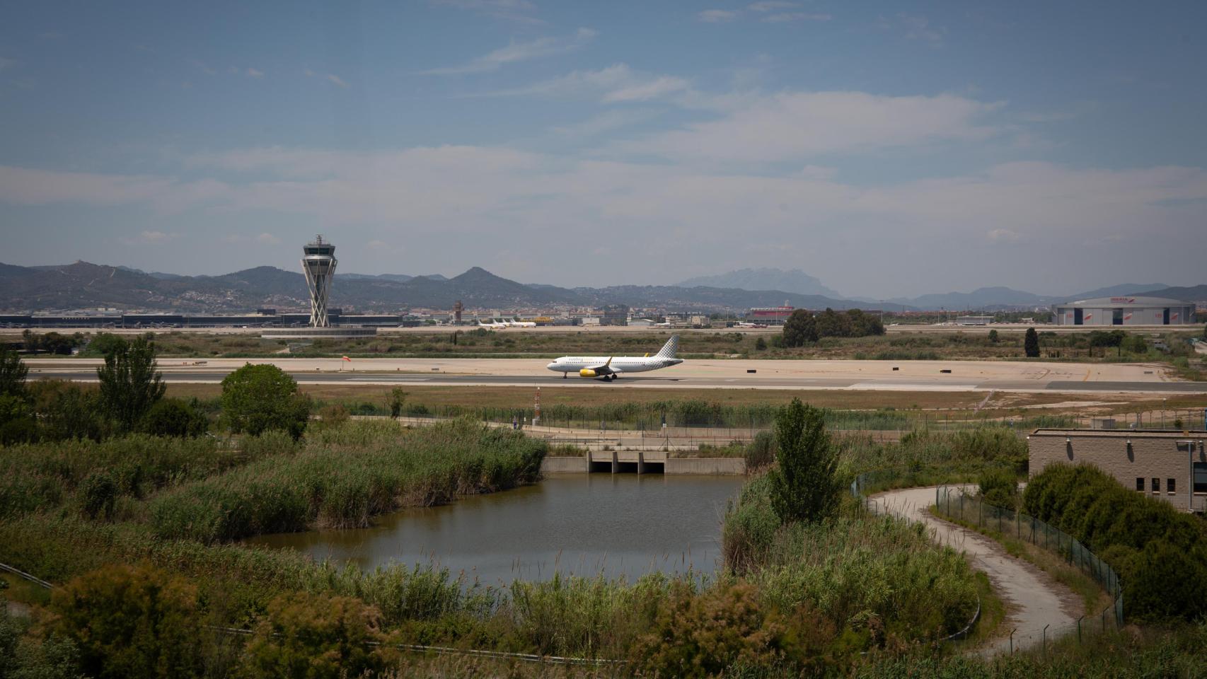 Imagen de la Laguna de La Ricarda, junto al Aeropuerto de El Prat