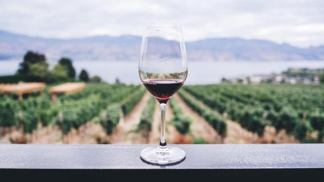 Una copa de vino frente a unos viñedos