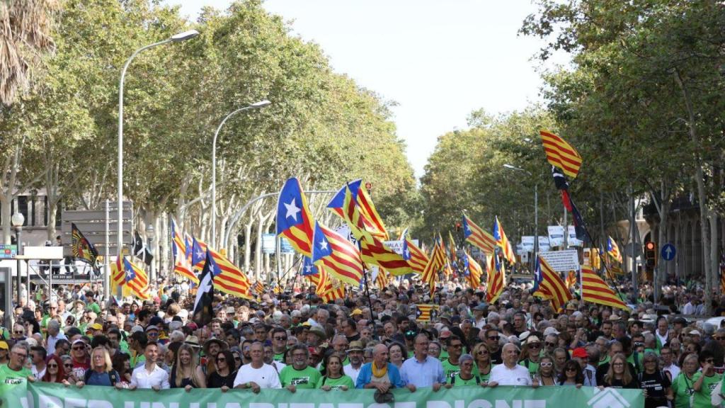 Imagen de la marcha de la ANC en Barcelona