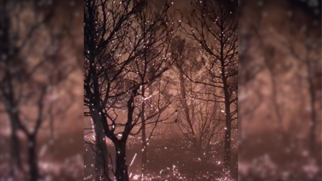 Incendio en Porrera y Cabacés, en el Priorat (Tarragona)