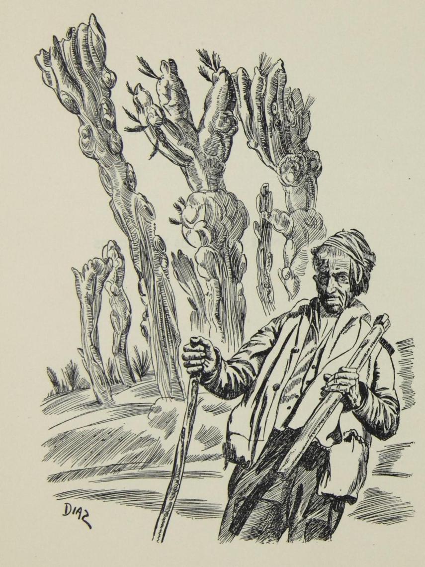 Dibujo de Ignacio Díaz para el libro ‘Zafarrancho de España’ de Alfonso M. Carrasco.