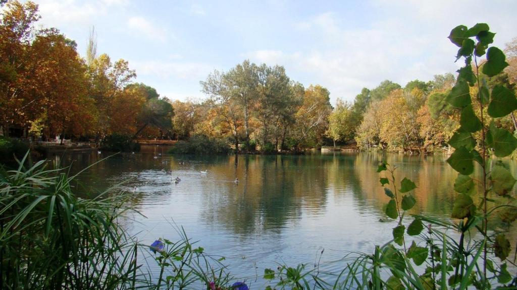 Parque Natural de la Albufera