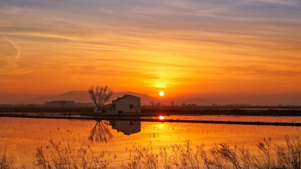 Puesta de sol en el Delta del Ebro