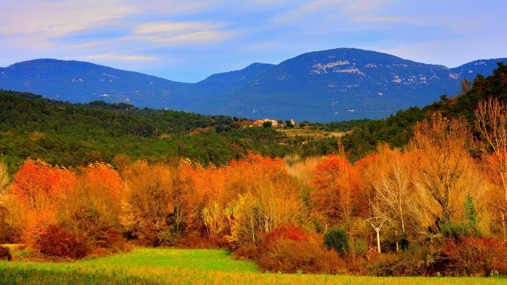 Bosque de La Garrotxa en otoño