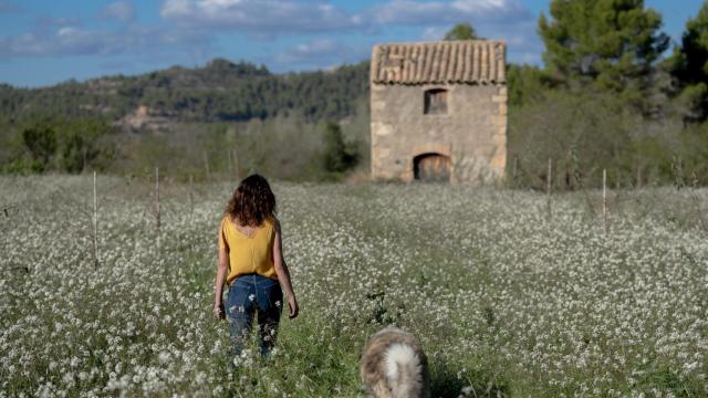 Fotograma de 'Los destellos'