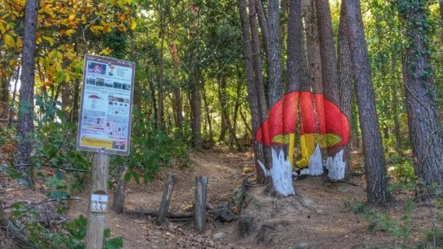 Bosque pintado de Poblet