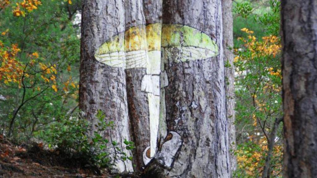 Bosque pintado de Poblet