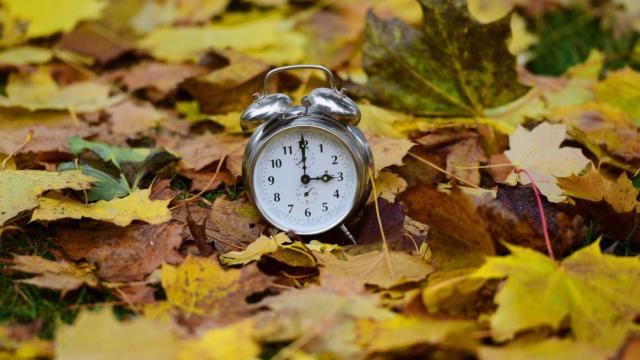 Reloj entre las hojas de otoño