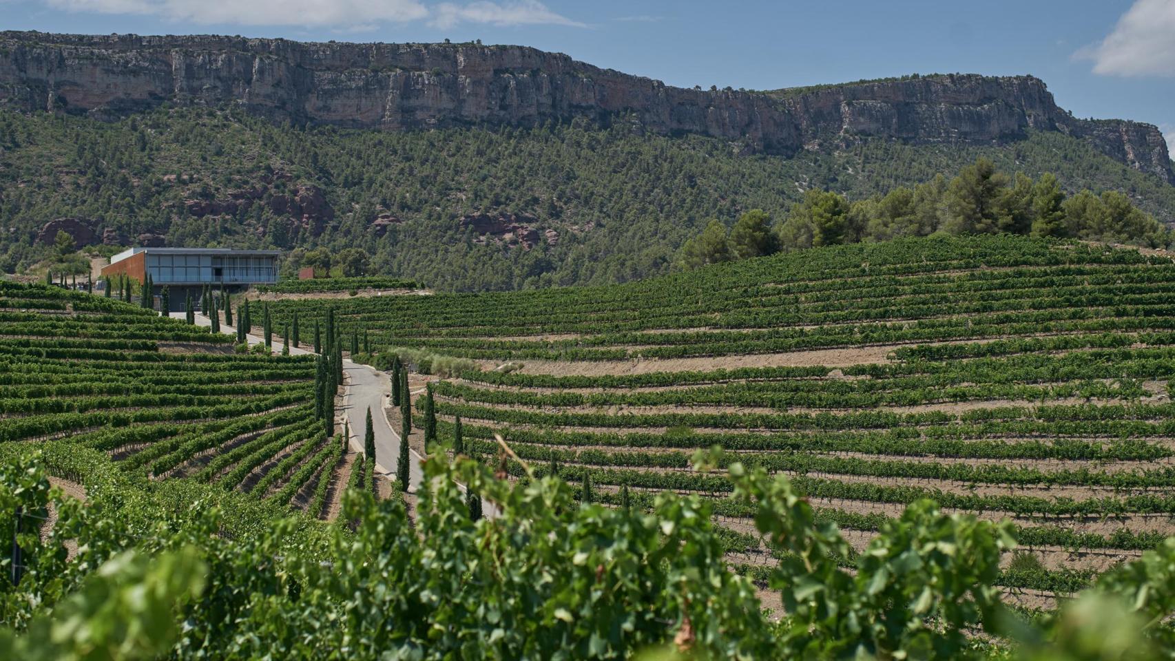 Bodega de Lloar