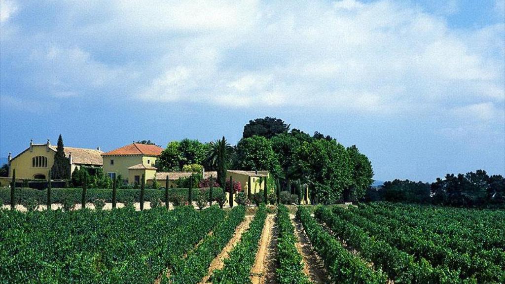 Mas la Plana de Bodegas Torres