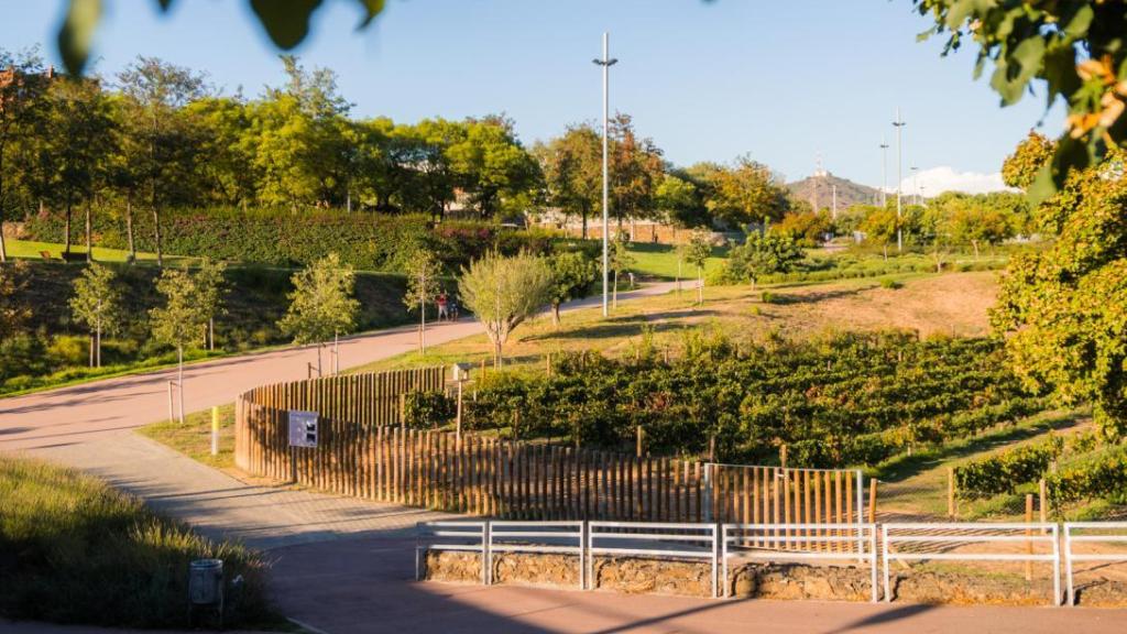 Parque de Sant Joan Despí