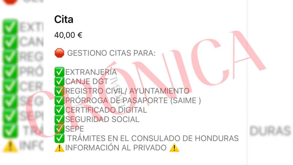 Servicios de una de las falsas asesorías en las que también ofrecen citas para la DGT, la Seguridad Social o el SEPE