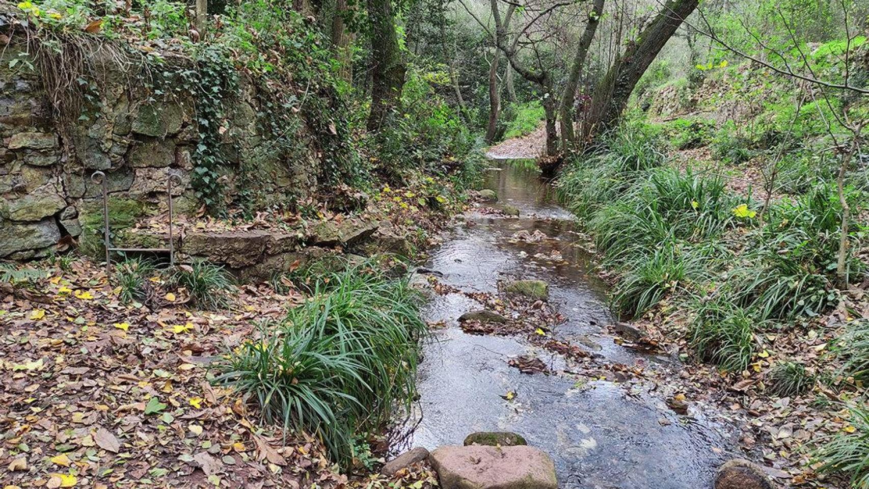 La ruta de los árboles de Vallcárquera