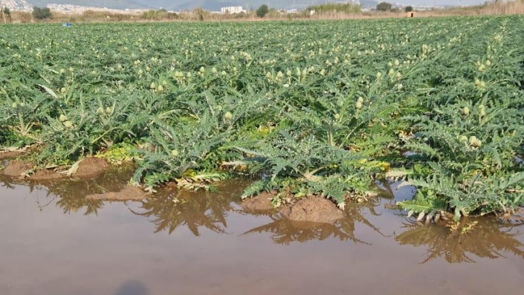 Estado del Parc Agrari un día después de las lluvias