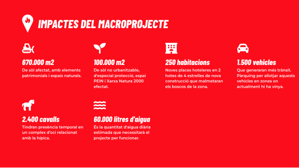 El impacto del macroproyecto según los denunciantes