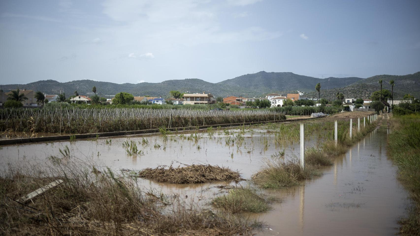 Imagen de los efectos de la DANA en Les Cases d'Alcanar