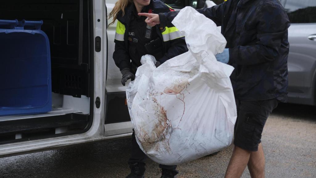 Una agente de los Mossos d'Esquadra participa en la evacuación del cuerpo del perro aparecido muerto en la vivienda