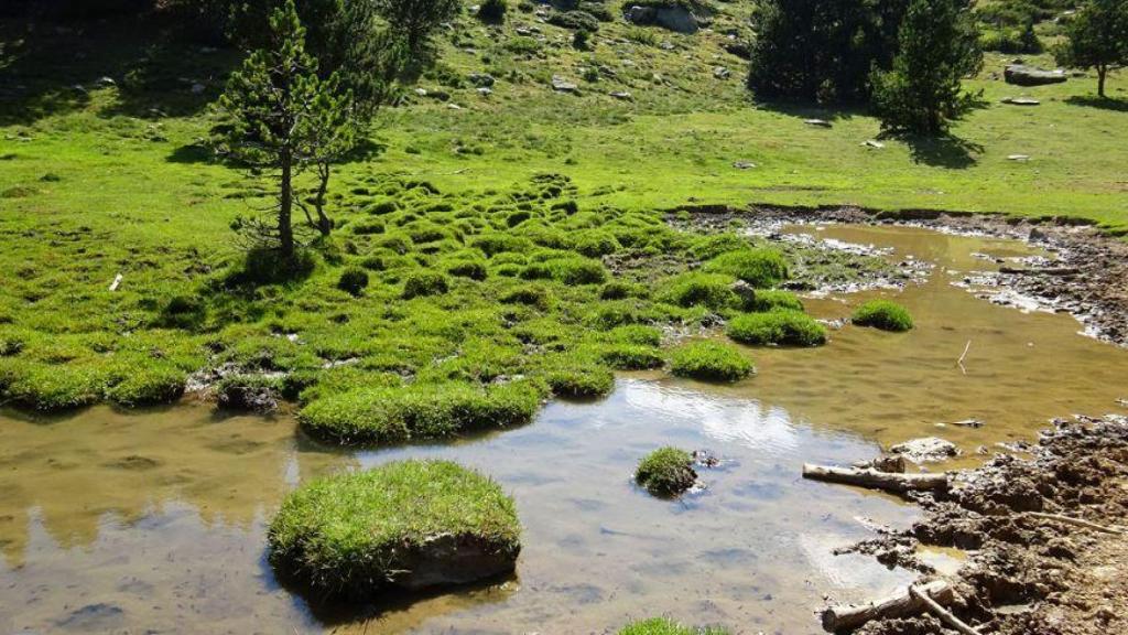 Un punto del recorrido del lago de Davall en Comes de Rubió