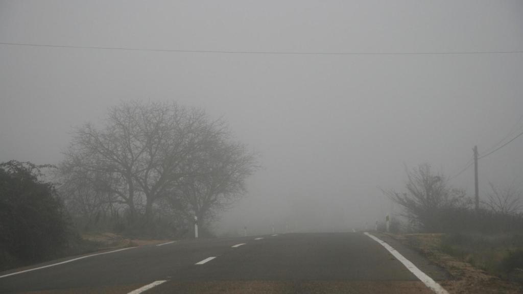 Una carretera cubierta por niebla