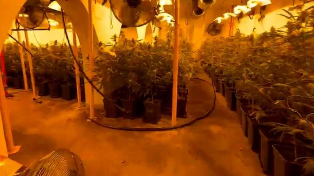 Plantación de marihuana en el sótano de una casa en Sant Andreu de Llavaneres