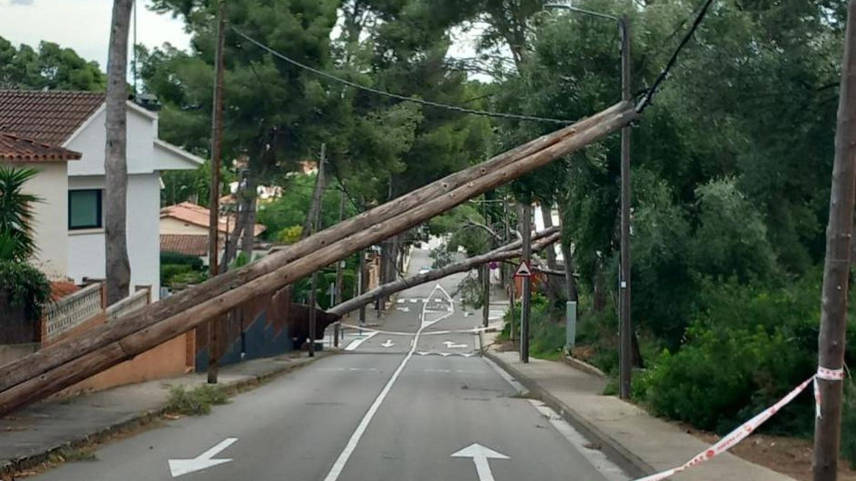 Árboles caídos por el fuerte viento en Castelldefels (Barcelona)