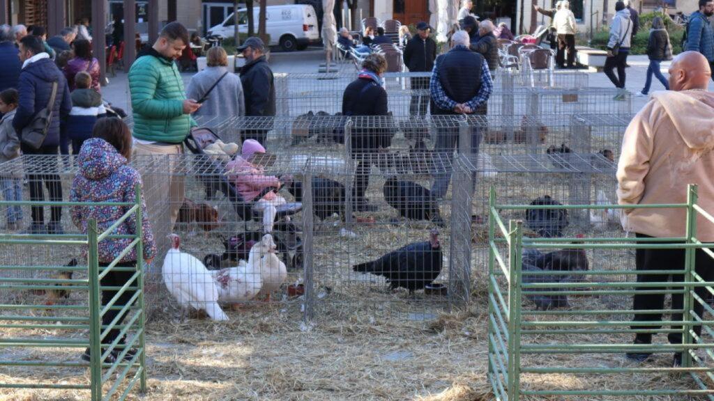 Aves de corral en la Feria de Valls