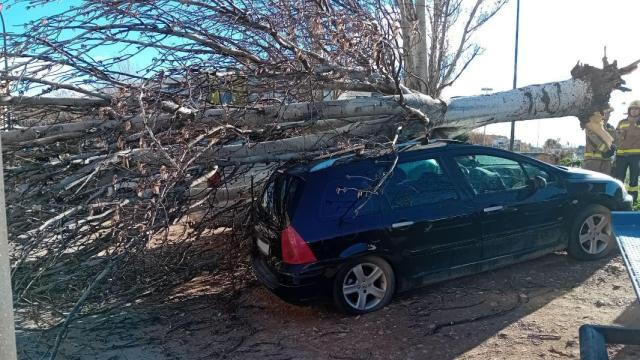 Un árbol caído sobre un coche a causa del fuerte viento