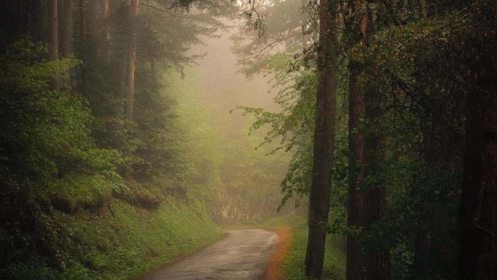 Bosque de Baricauba