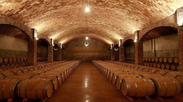 Bodega del Castell del Remei