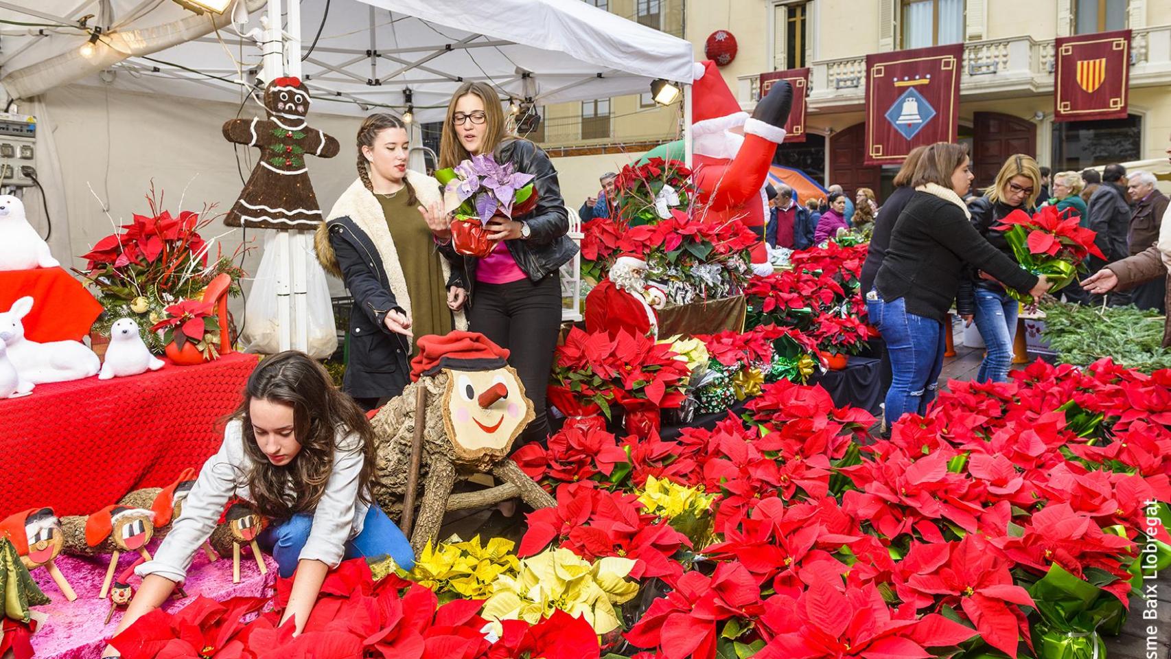 Mercado navideño de la Purísima de Sant Boi de Llobregat