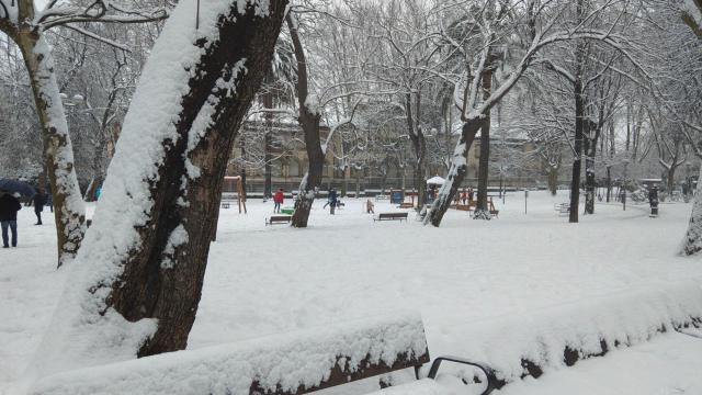 Un parque nevado