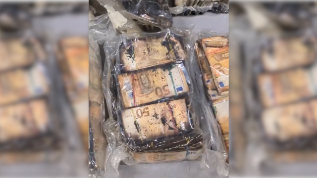 Dinero intervenido a la mafia china del 'fen chien'