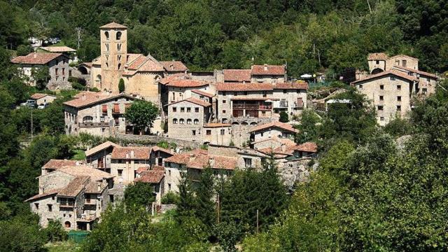 Beget