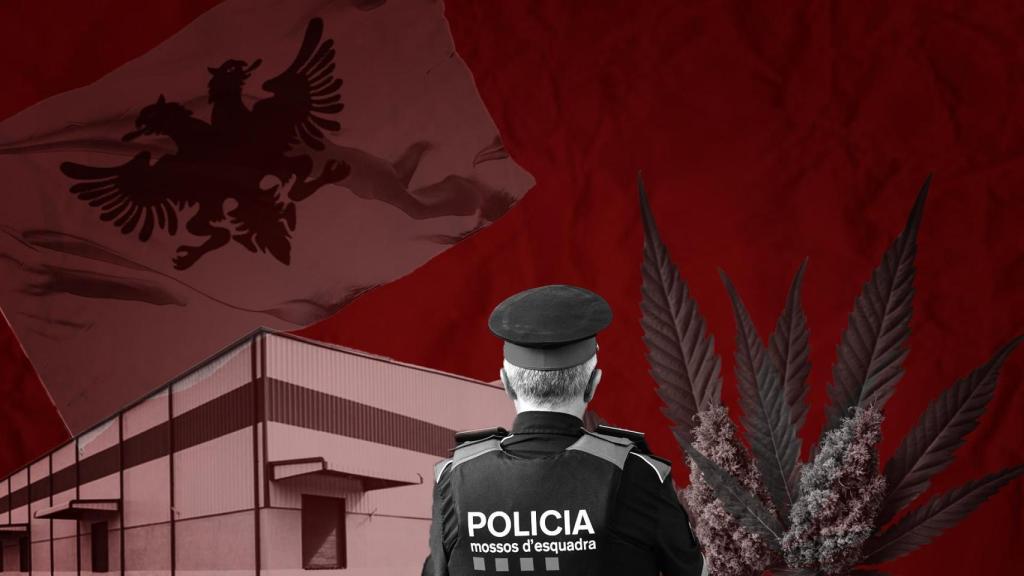 Fotomontaje de un agente de Mossos ante una nave industrial y hojas de marihuana