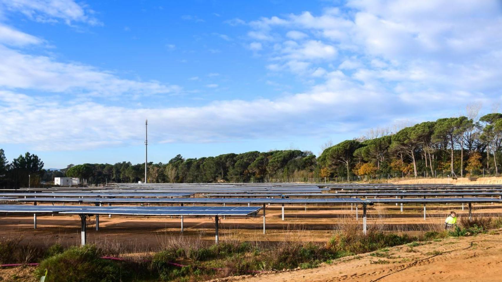 La nueva planta fotovoltaica de Vidreres