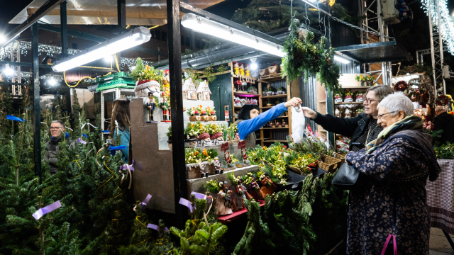 Tradiciones Navideñas de Cataluña: compra de árboles en Santa Llúcia