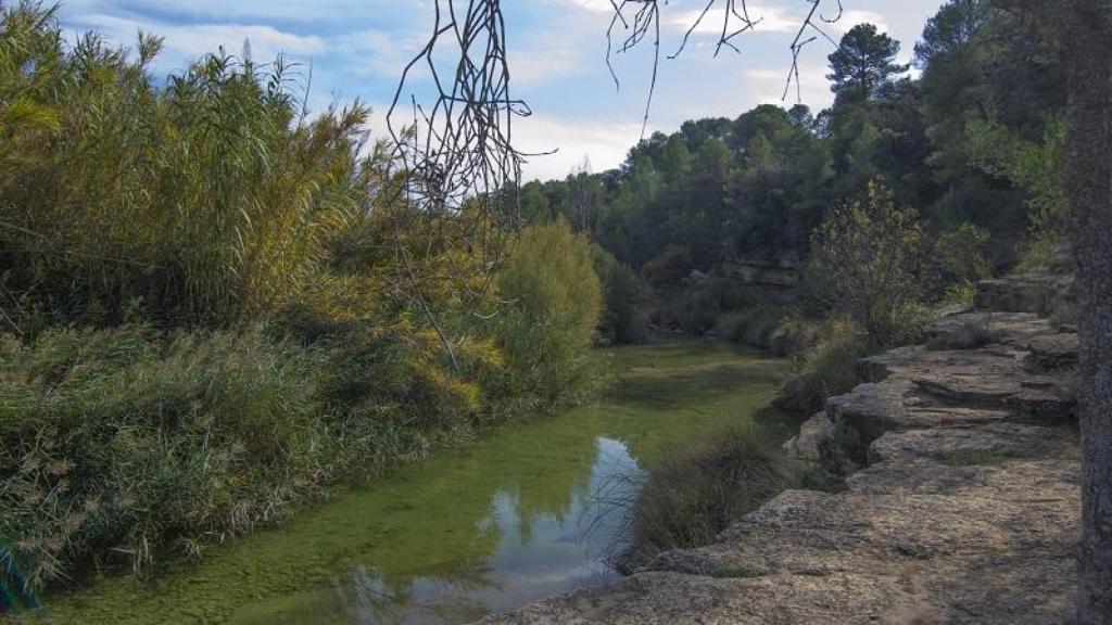 Rió dels Estrets