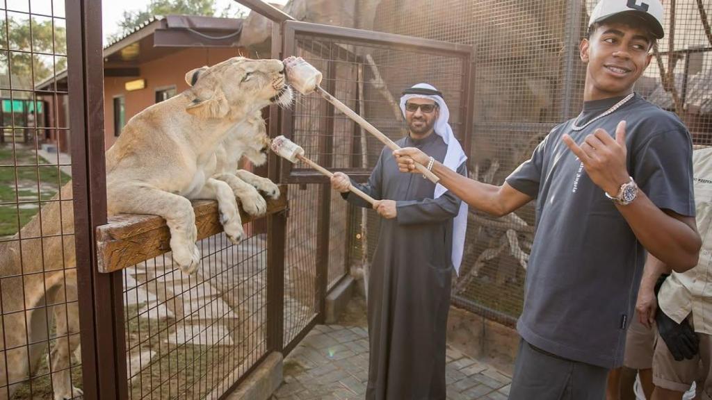 Lamine Yamal alimenta un león en el Safari de Dubái