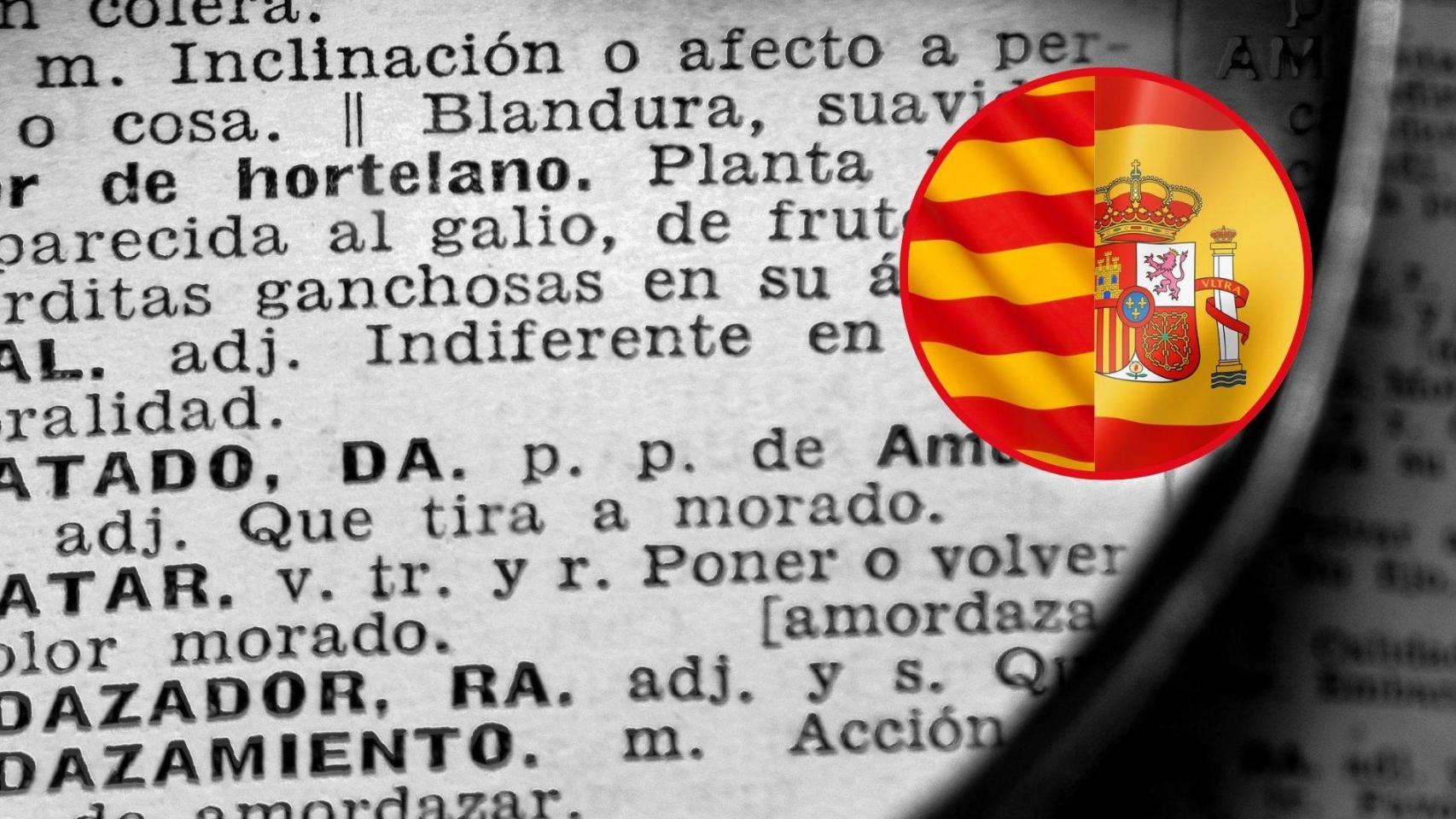 Un diccionario y las banderas catalana y española