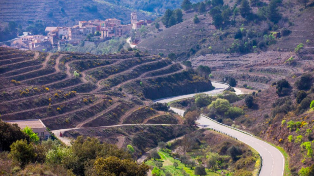 Tierras del Priorat