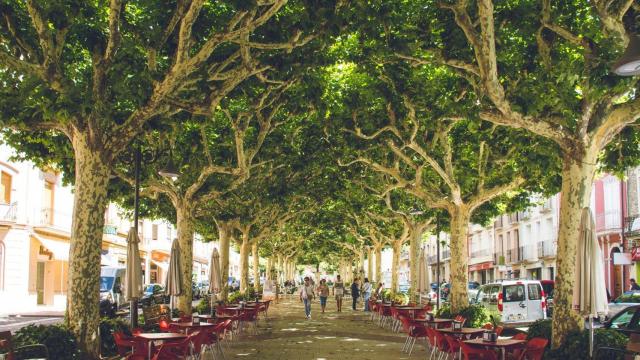 El pueblo medieval de cinco letras que supera a Barcelona y L'Hospitalet, Tremp