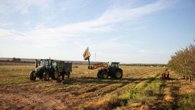 Imagen de un campo de cultivo de Unilever