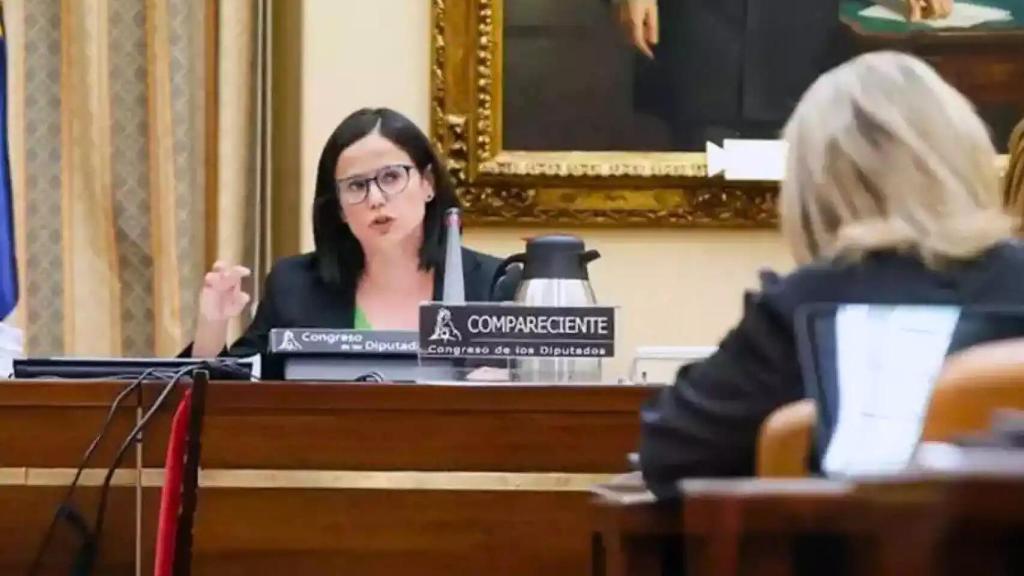 Cinta Pascual, durante una comparecencia en el Congreso de Diputados