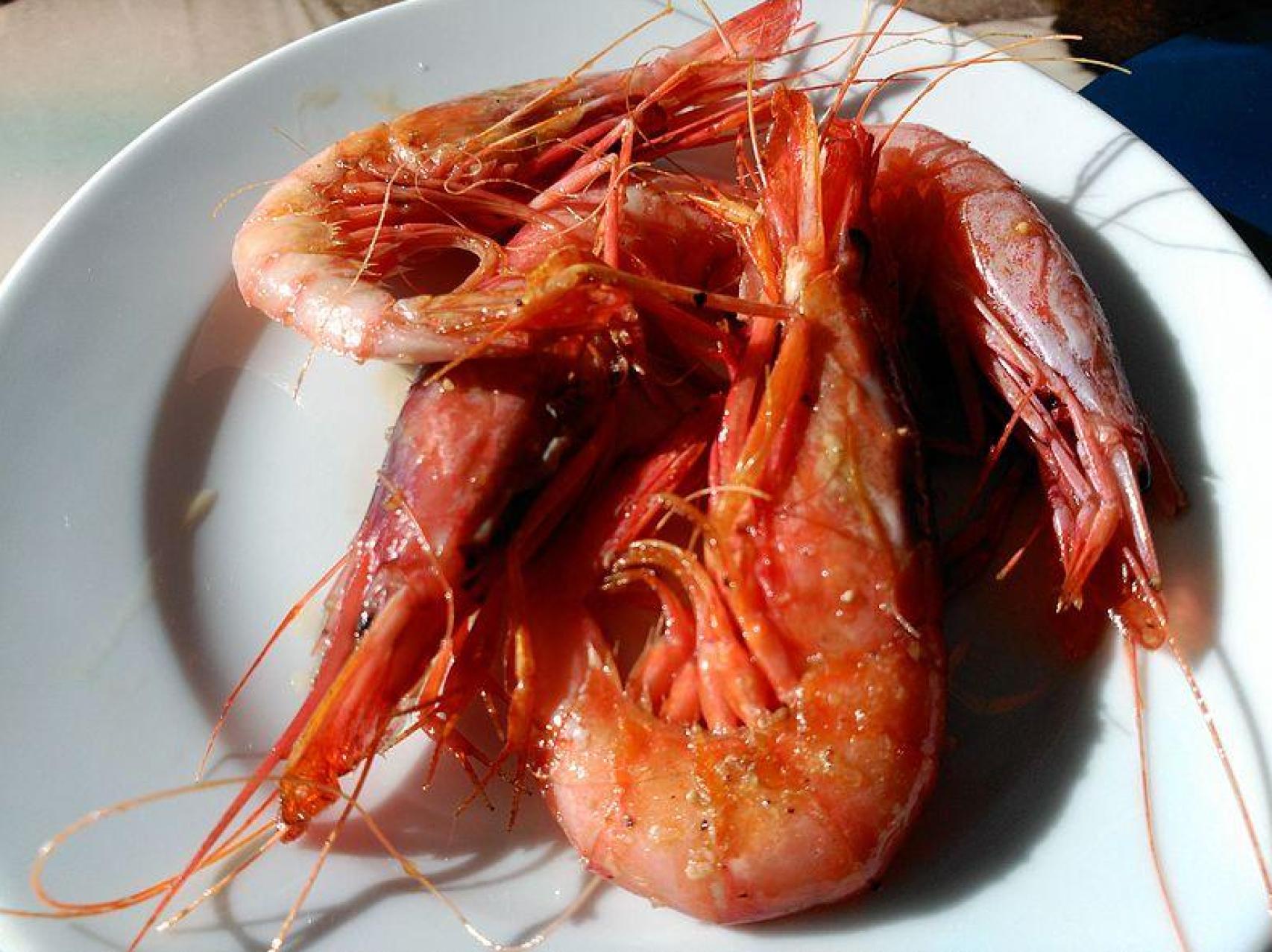 Gambas de Palamós a la plancha