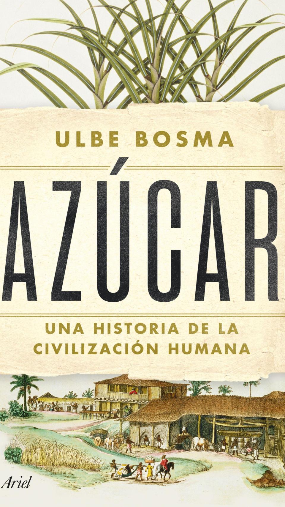 Portada del libro de Ulbe Bosma