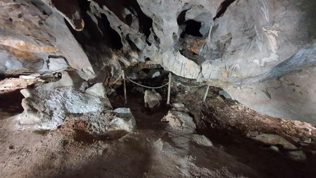 La cueva de la Girona donde se encuentran especies de animales únicas en el mundo, las Cuevas del Pasteral